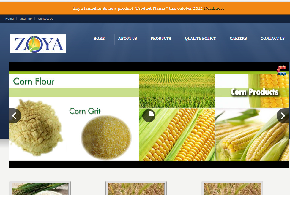 Best Arabic Training and Translation Services in Hyderabad